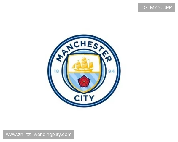 卡迪夫城队简介：威尔士代表英超球队详解