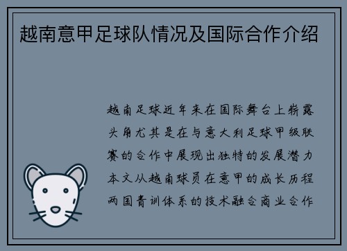 越南意甲足球队情况及国际合作介绍